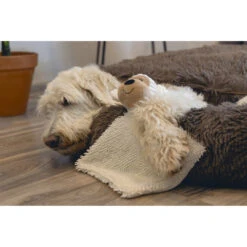 Beeztees Hondenspeelgoed Eco Knuffellap Brono -Beeztees Hond Aanbiedingen Winkel 0616971 3