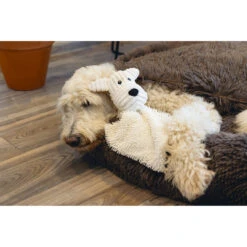 Beeztees Hondenspeelgoed Eco Knuffellap Lora -Beeztees Hond Aanbiedingen Winkel 0616972 3