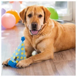 Beeztees Hondenspeelgoed Party Feestmuts -Beeztees Hond Aanbiedingen Winkel 0617030 3
