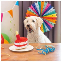 Beeztees Hondenspeelgoed Party Taart 7 Beeztees Hondenspeelgoed Party Taart -Beeztees Hond Aanbiedingen Winkel 0617031 3
