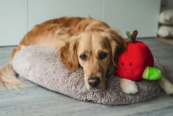 Beeztees Hondenspeelgoed Hide And Seek Appel 5 Beeztees Hondenspeelgoed Hide And Seek Appel -Beeztees Hond Aanbiedingen Winkel 0619440 sfeer1