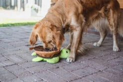 Beeztees Hondenspeelgoed Hide And Seek Schilli 5 Beeztees Hondenspeelgoed Hide And Seek Schilli -Beeztees Hond Aanbiedingen Winkel 0619442 sfeer6