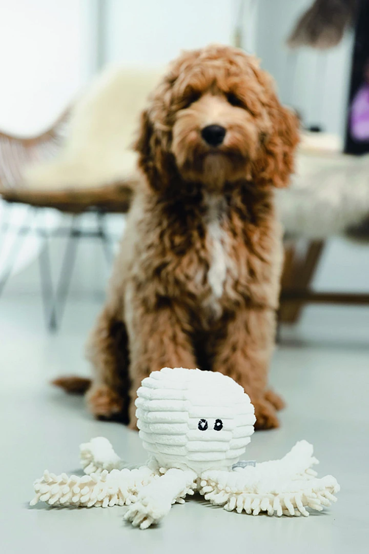 Beeztees Eco Octopus Okki 2 Beeztees Eco Octopus Okki - Afbeelding 2