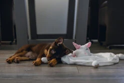 Beeztees Puppy Knuffeldoek Unicorn M -Beeztees Hond Aanbiedingen Winkel 0619491 sfeer1