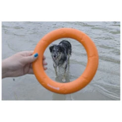 Beeztees Apportino Ring -Beeztees Hond Aanbiedingen Winkel 0625883 3