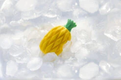 Beeztees Fill-n-Freeze Fruit Assorti -Beeztees Hond Aanbiedingen Winkel 0625973 sfeer1