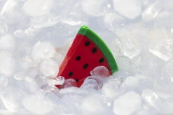 Beeztees Fill-n-Freeze Fruit Assorti -Beeztees Hond Aanbiedingen Winkel 0625973 sfeer2