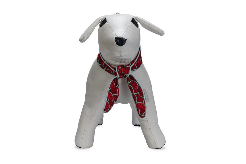 Beeztees Halsband Quick Cooler Meloenie 2 Beeztees Halsband Quick Cooler Meloenie - Afbeelding 2