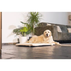 Beeztees Orthopedisch Benchkussen Ito Beige -Beeztees Hond Aanbiedingen Winkel 0707322 1