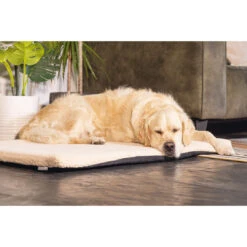 Beeztees Orthopedisch Benchkussen Ito Beige -Beeztees Hond Aanbiedingen Winkel 0707322 2