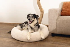 Beeztees Orthopedische Hondenmand Jaxx Beige -Beeztees Hond Aanbiedingen Winkel 0707385 sfeer3