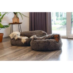 Beeztees Hondenmand Yala Bruin -Beeztees Hond Aanbiedingen Winkel 0716030 2