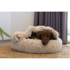 Beeztees Hondenmand Yala Beige -Beeztees Hond Aanbiedingen Winkel 0716036 2