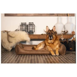 Beeztees Orthopedische Hondenmand Uma Bruin -Beeztees Hond Aanbiedingen Winkel 0716213 2