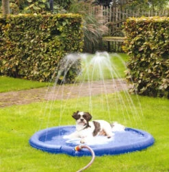 Beeztees Sprinklermat Stay Cool Blauw 100 Cm -Beeztees Hond Aanbiedingen Winkel 0740630 sfeer1