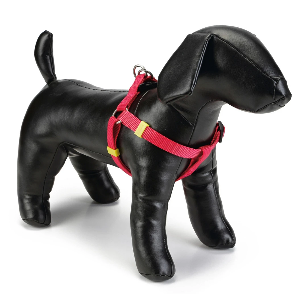 Beeztees Borsttuig Uni Roze 1 Beeztees Borsttuig Uni Roze