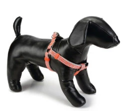 Beeztees Borsttuig Triangle Lichtgrijs