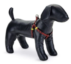 Beeztees Borsttuig Scribbles Zwart