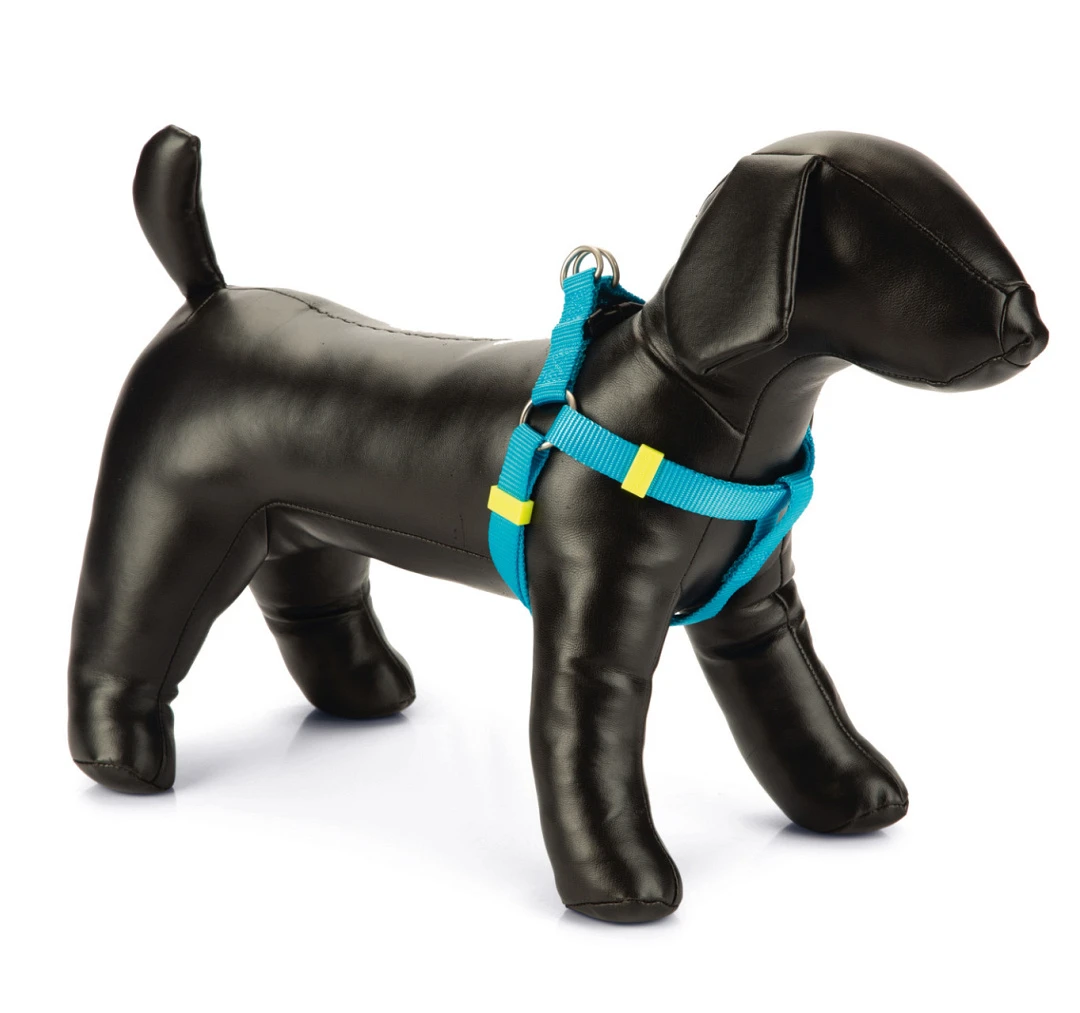 Beeztees Borsttuig Uni Lichtblauw 1 Beeztees Borsttuig Uni Lichtblauw