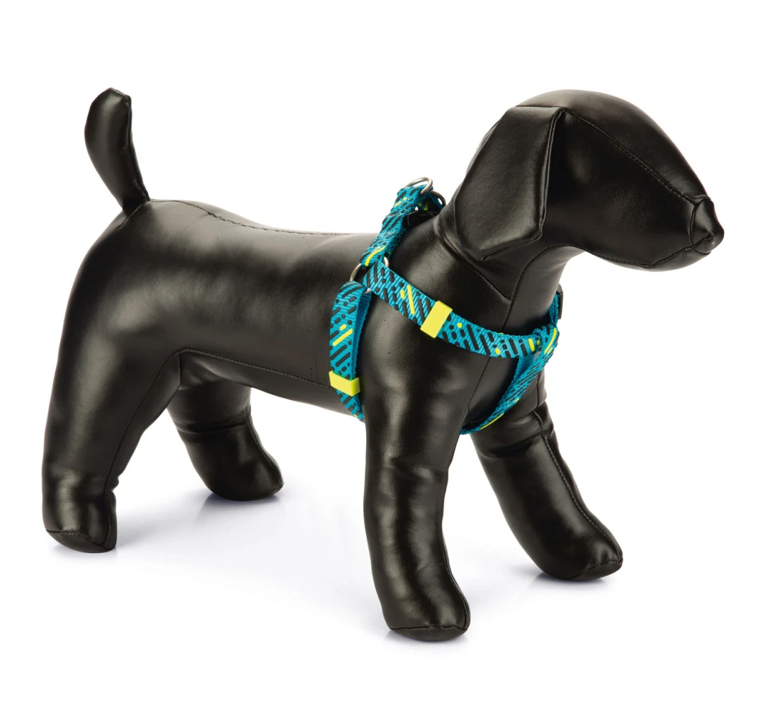 Beeztees Borsttuig Memphis Lichtblauw 1 Beeztees Borsttuig Memphis Lichtblauw