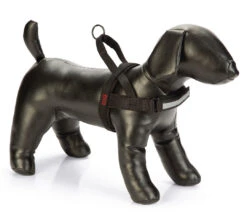 Beeztees Borsttuig Parinca Zwart