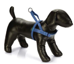 Beeztees Borsttuig Parinca Blauw