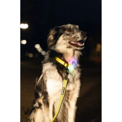 Beeztees Halsband Parinca Premium LED Geel 19 Beeztees Halsband Parinca Premium LED Geel -Beeztees Hond Aanbiedingen Winkel 0747365 3