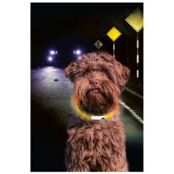 Beeztees Veiligheidshalsband Dogini Multi 65 Cm X 10 Mm -Beeztees Hond Aanbiedingen Winkel 0749857 2