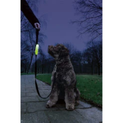 Beeztees Ledlamp Voor Hondenriem -Beeztees Hond Aanbiedingen Winkel 0749862 2
