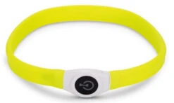 Beeztees Veiligheidshalsband Glowy Geel