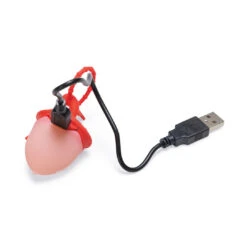 Beeztees Veiligheidslamp Eikel Assorti -Beeztees Hond Aanbiedingen Winkel 0749878 2