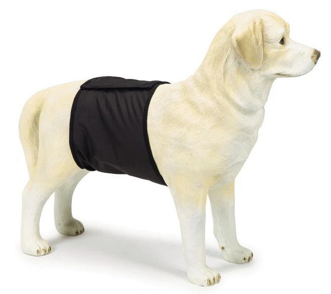 Beeztees Incontinentieband Reu Zwart 1 Beeztees Incontinentieband Reu Zwart