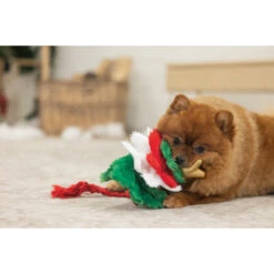 Beeztees Hondenspeelgoed Kerstboom Spar -Beeztees Hond Aanbiedingen Winkel 2400148 3