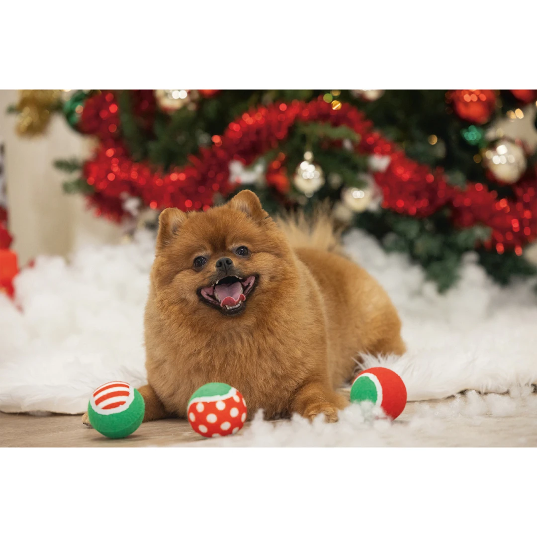 Beeztees Hondenspeelgoed Kerst Tennisballen 3 St 2 Beeztees Hondenspeelgoed Kerst Tennisballen 3 St - Afbeelding 2
