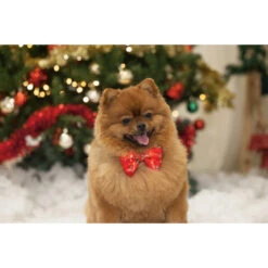 Beeztees Kerststrik En Lampje -Beeztees Hond Aanbiedingen Winkel 2400155 3