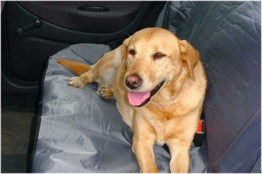 Beeztees Autodeken Universeel 110 X 130 Cm Lichtgrijs 1 Beeztees Autodeken Universeel 110 X 130 Cm Lichtgrijs