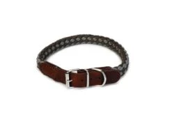 Beeztees Halsband Voor Hond Korda Nylon Grijs / Lichtgrijs 55x2 Cm