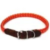Beeztees Halsband Voor Hond Korda Nylon Rood / Oranje 65x2 Cm