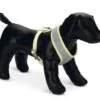 Beeztees Puppy Tuig - Geel - Maat L
