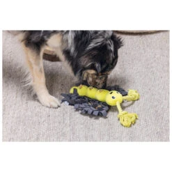 Beeztees Hondenspeelgoed Hide And Seek Vlinder -Beeztees Hond Aanbiedingen Winkel 619437 3