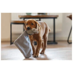 Beeztees Puppy Knuffellap Konijn An 7 Beeztees Puppy Knuffellap Konijn An -Beeztees Hond Aanbiedingen Winkel 619448 3