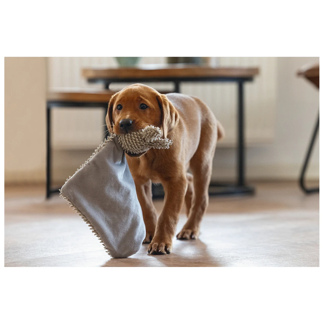 Beeztees Puppy Knuffellap Konijn An 4 Beeztees Puppy Knuffellap Konijn An - Afbeelding 4