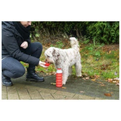 Beeztees Drinkfles Kae Assorti 550 Ml -Beeztees Hond Aanbiedingen Winkel 650141 2