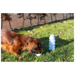 Beeztees Drinkfles Kae Assorti 550 Ml -Beeztees Hond Aanbiedingen Winkel 650141 3