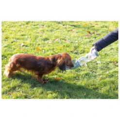 Beeztees Drinkfles Nel Oranje 600 Ml -Beeztees Hond Aanbiedingen Winkel 650142 3