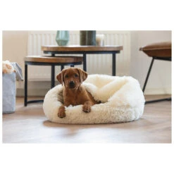 Beeztees Puppy Hondenmand Kiki Creme Ø 50 X 15 Cm 7 Beeztees Puppy Hondenmand Kiki Creme Ø 50 X 15 Cm -Beeztees Hond Aanbiedingen Winkel 716148 3