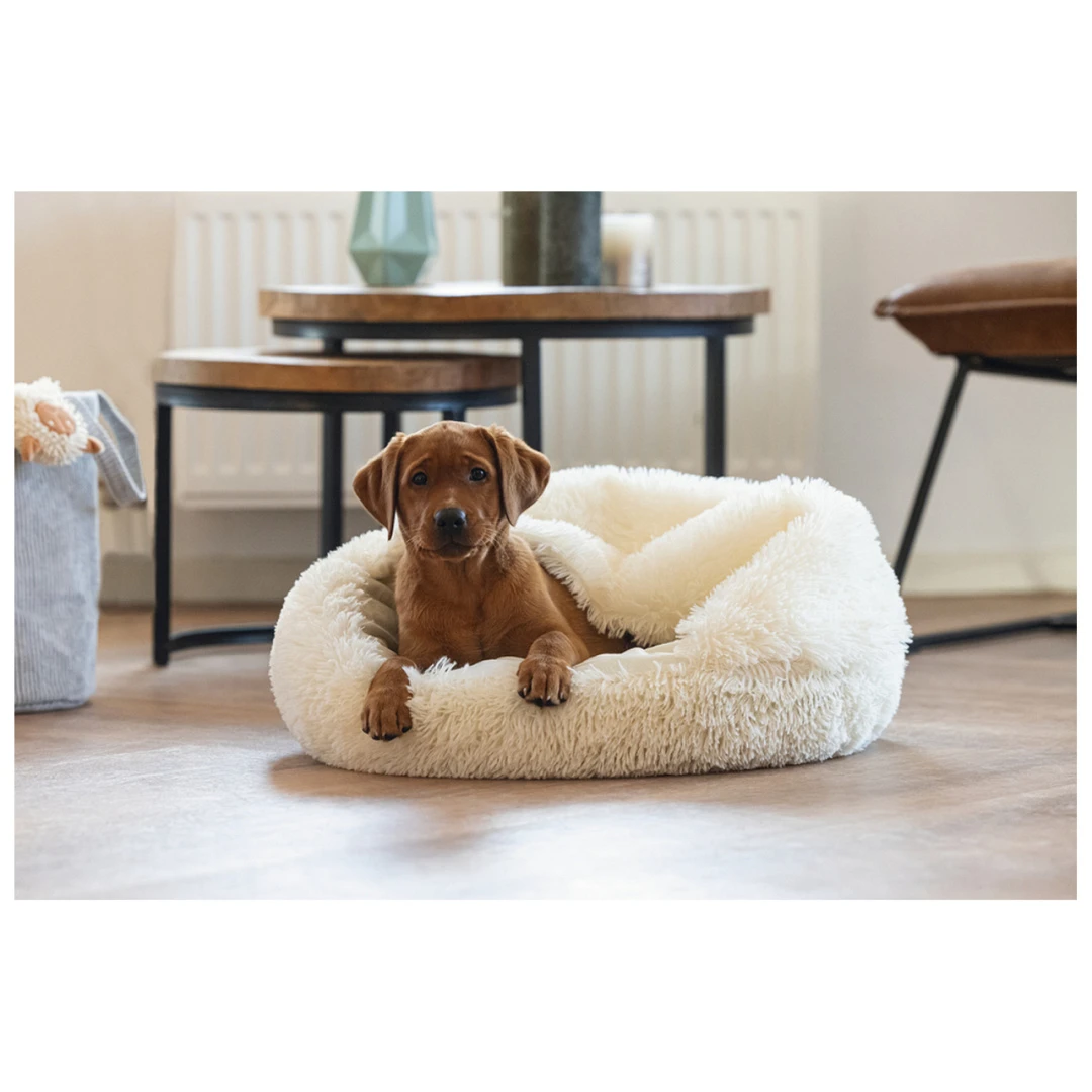 Beeztees Puppy Hondenmand Kiki Creme Ø 50 X 15 Cm 4 Beeztees Puppy Hondenmand Kiki Creme Ø 50 X 15 Cm - Afbeelding 4