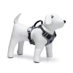 Beeztees Y-Tuig Parinca LED Zwart -Beeztees Hond Aanbiedingen Winkel 747493