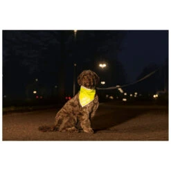 Beeztees Reflecterende Bandana Chiny -Beeztees Hond Aanbiedingen Winkel 749751 2