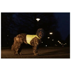 Beeztees Veiligheidsvest Reflecterend Ava Geel -Beeztees Hond Aanbiedingen Winkel 749758 1
